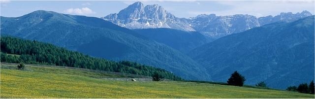 Questa immagine ha l'attributo alt vuoto; il nome del file è maranza.jpg