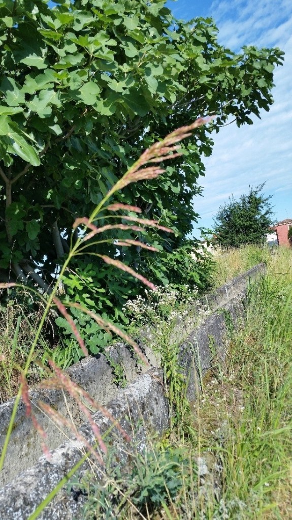 Questa immagine ha l'attributo alt vuoto; il nome del file è rel6_image003.jpg